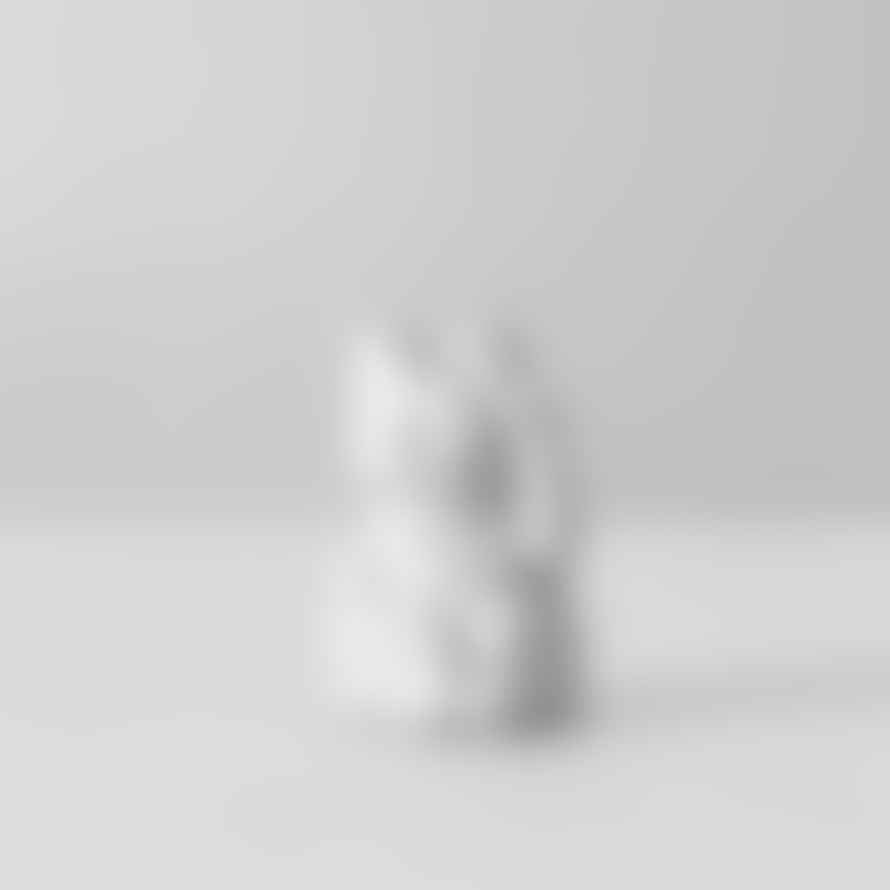 Donkey Products White Mini Lucky Cat