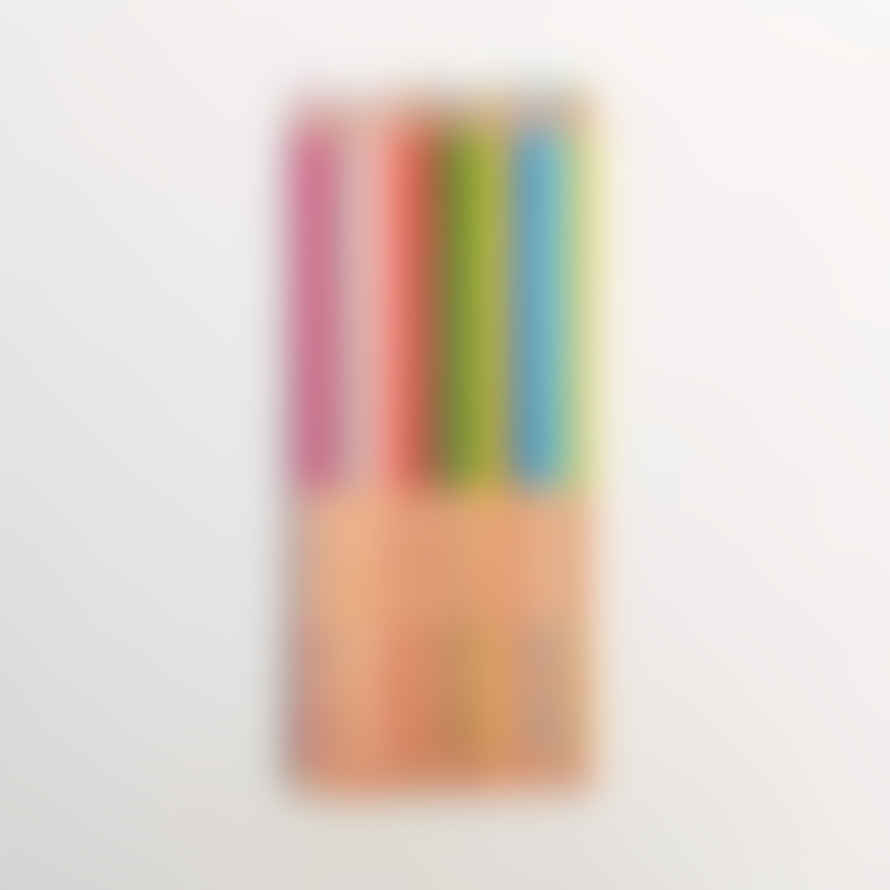 Kokuyo Dual Colour 2 In 1 Colouring Pencils Set Of 10