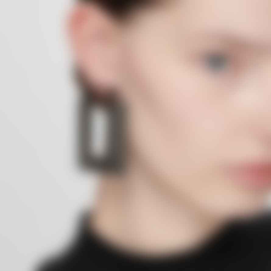 Katerina Vassou Steel Oblong Earrings With Black Crystals