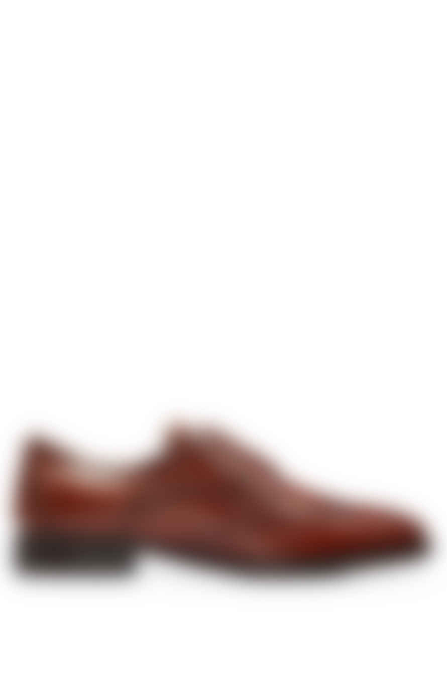 Hugo Boss Boss - Colby Brown Derby Shoes In Leather With Brogue Details 50503609 210