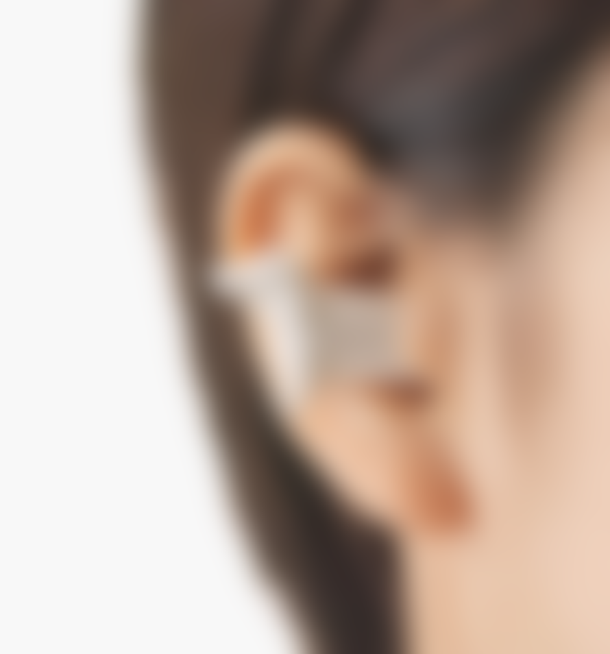 Kaiko Mimi Pet Dachshund Dog Ear Plugs