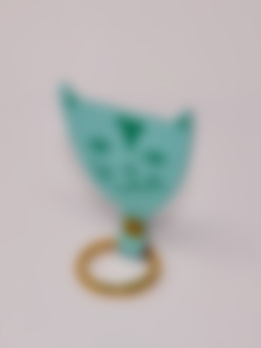 Ark Colour Design Cat Key Fob - Turquoise