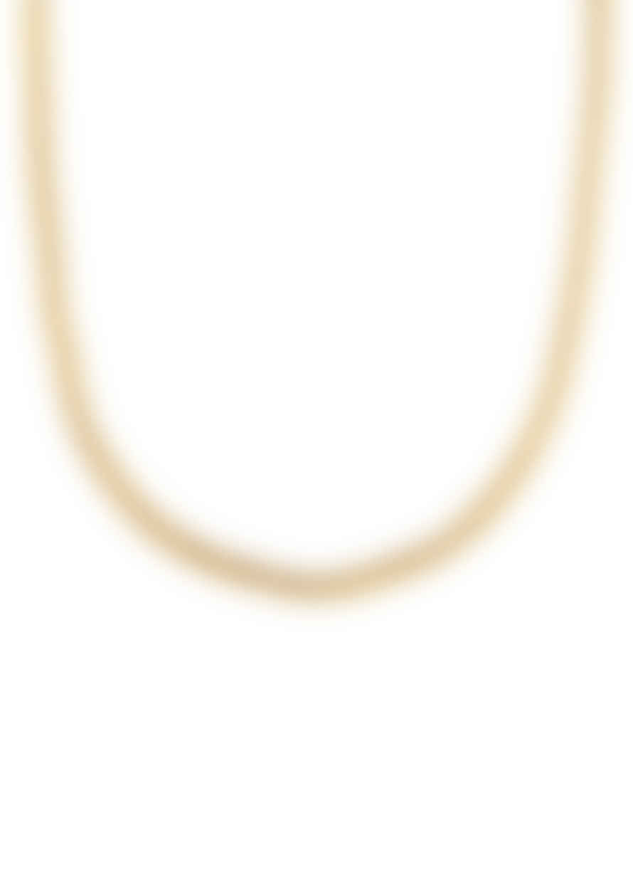 Orelia Flat Twist Chain Necklace