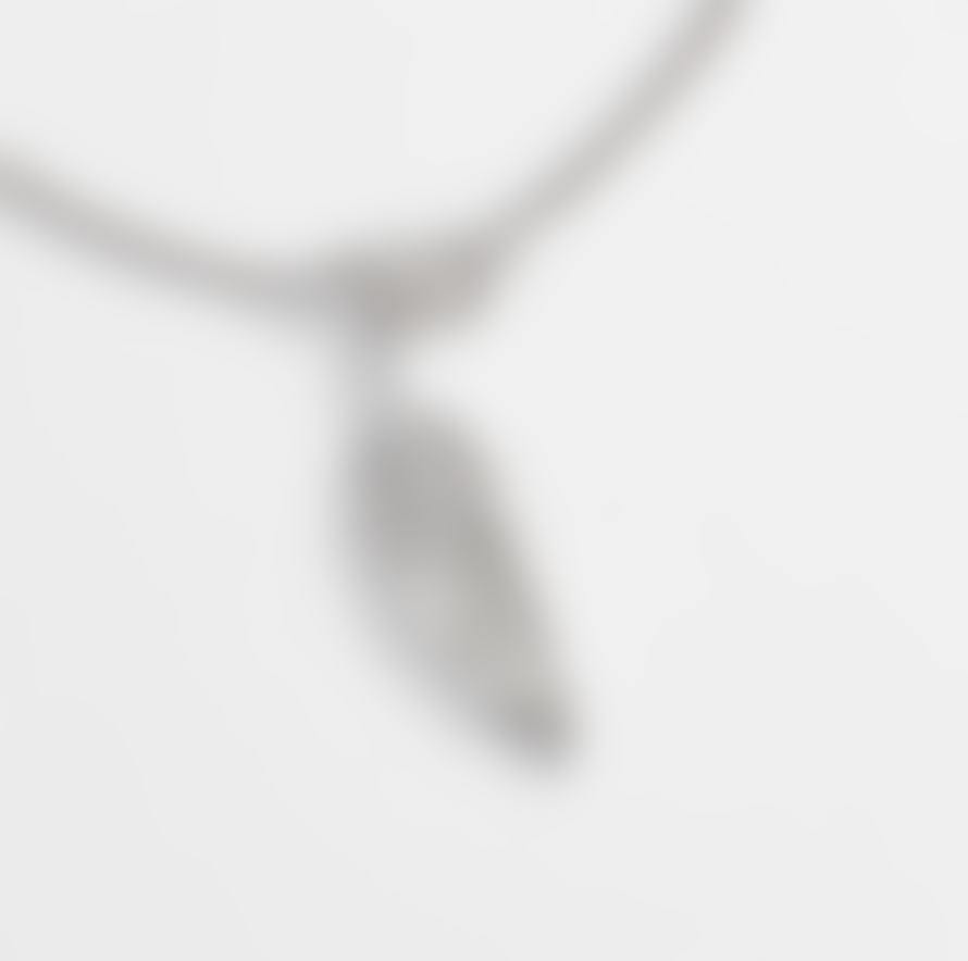 Estella Bartlett  Rhodium Plated Feather Pendant Necklace