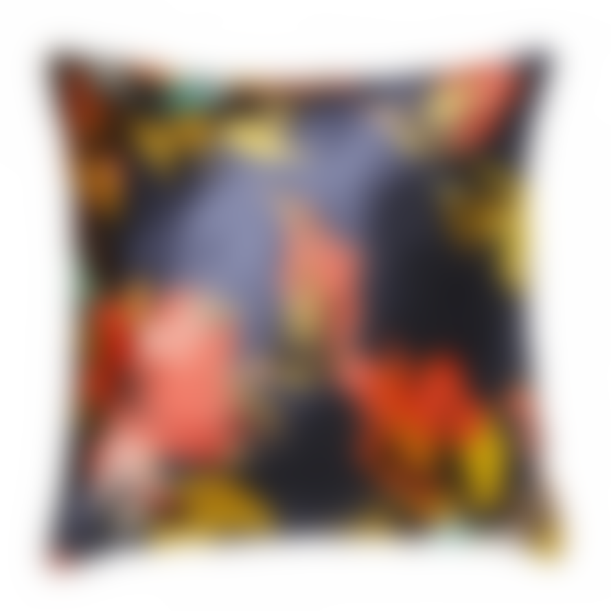 Scatterbox Cushions Adriana Cushion *50% Off*