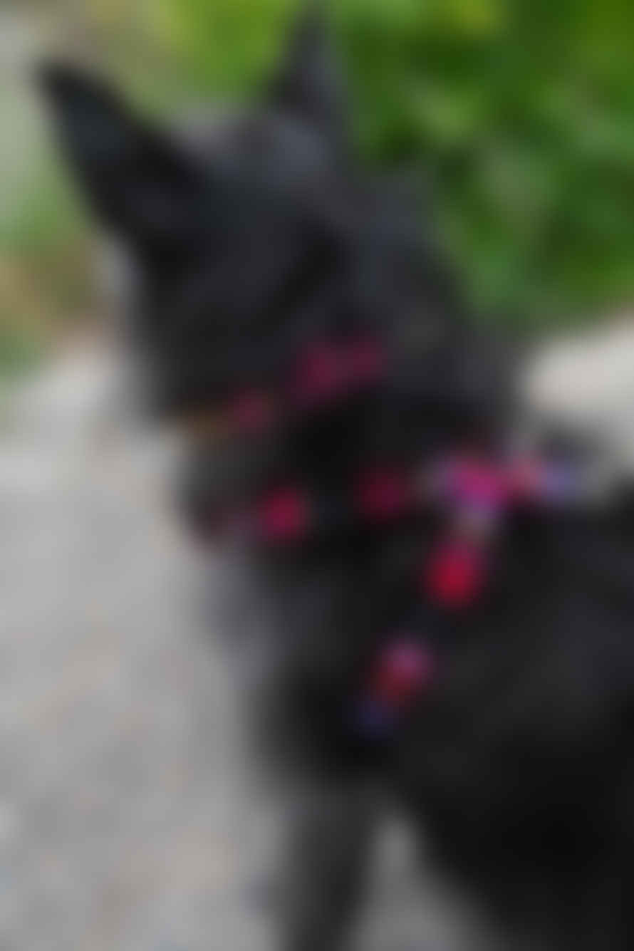 Hiro + Wolf Inca Pink Dog Collar