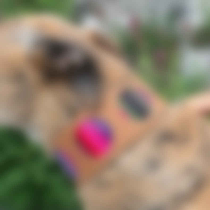Hiro + Wolf Inca Pink Hound Collar