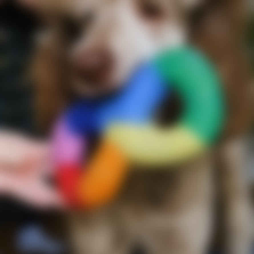 Hiro + Wolf Rainbow Tug Dog Toy