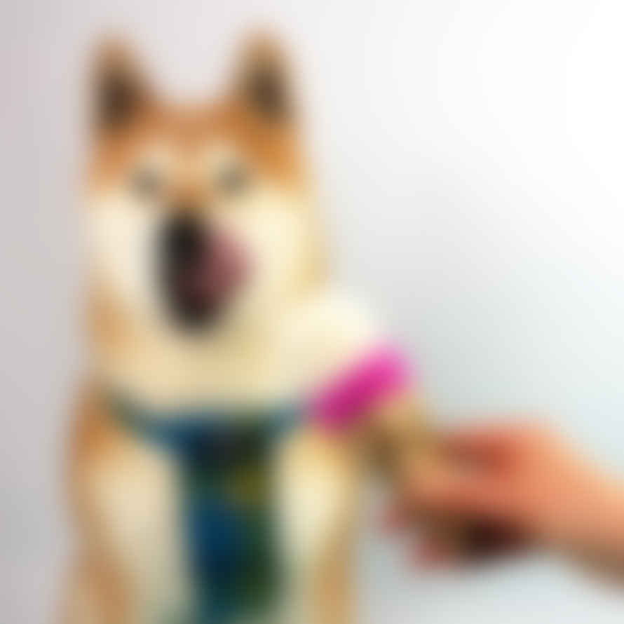 Hiro + Wolf Ice Cream Felt Dog Toy