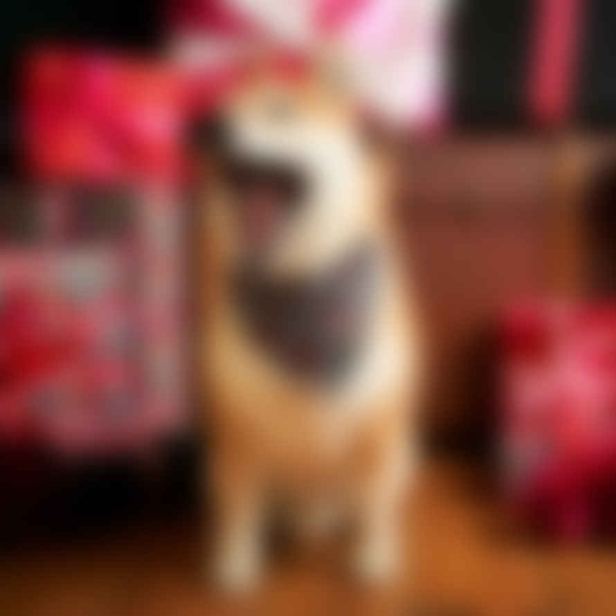 Hiro + Wolf Christmas Snowflakes Dog Bandana
