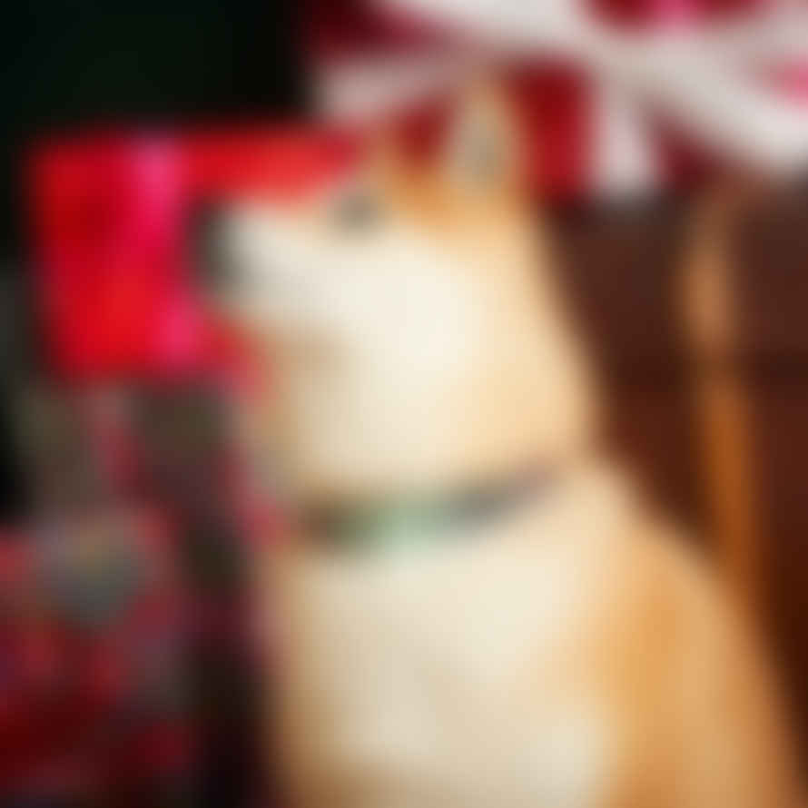 Hiro + Wolf Christmas Snowflakes Dog Collar