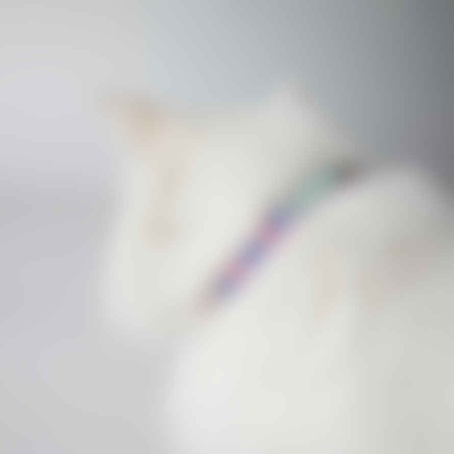 Hiro + Wolf Nebula Cat Collar