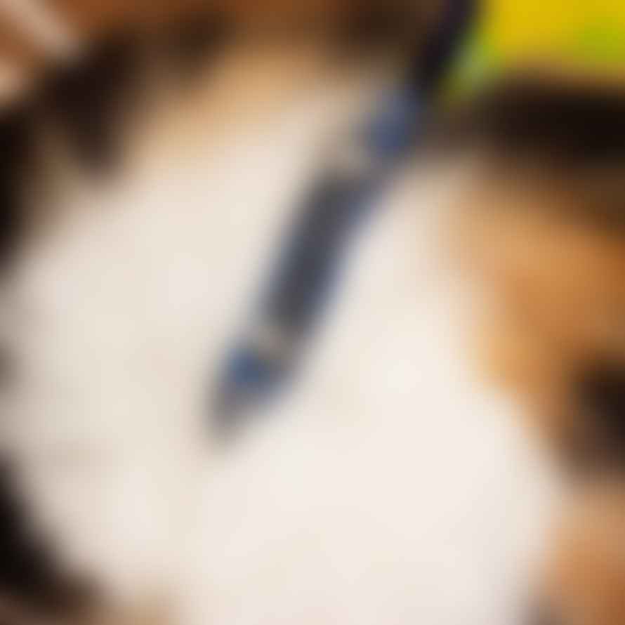 Hiro + Wolf Eyes Cat Collar