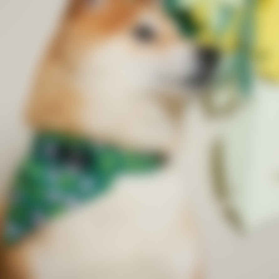 Hiro + Wolf Combs Adjustable Dog Collar