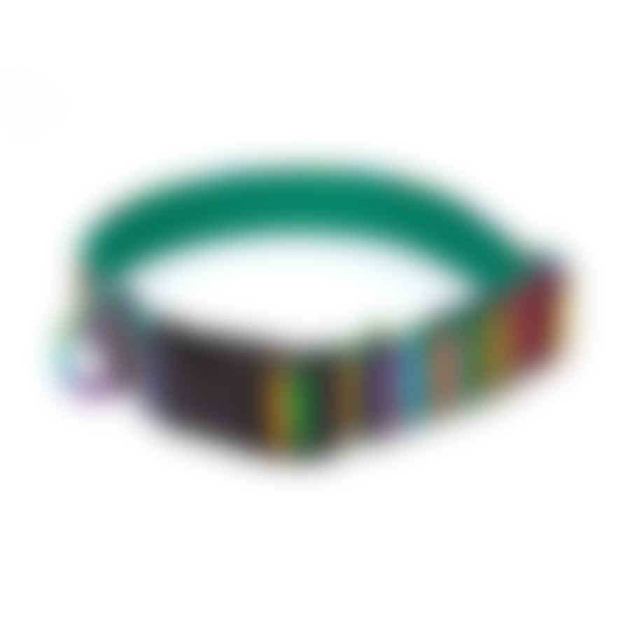 Hiro + Wolf Rainbow Stripe Adjustable Dog Collar
