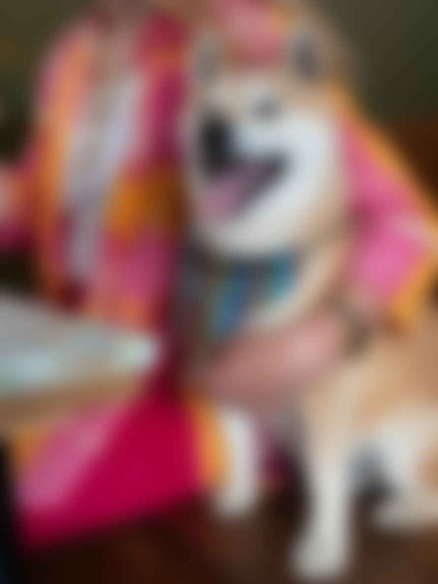 Hiro + Wolf Rainbow Stripe Dog Bandana