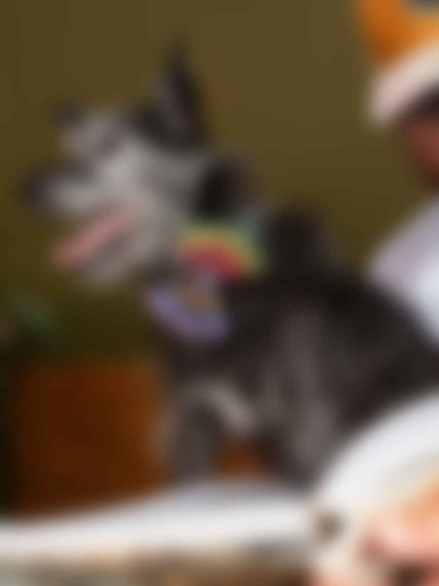 Hiro + Wolf Rainbow Stripe Dog Bow Tie