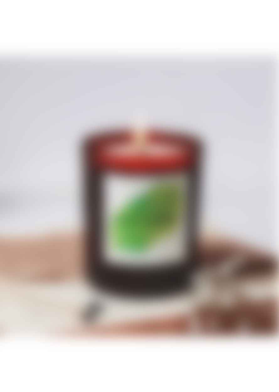 Self Care Co. Self Care Co Aromatherapy Candle: Eucalyptus & Peppermint