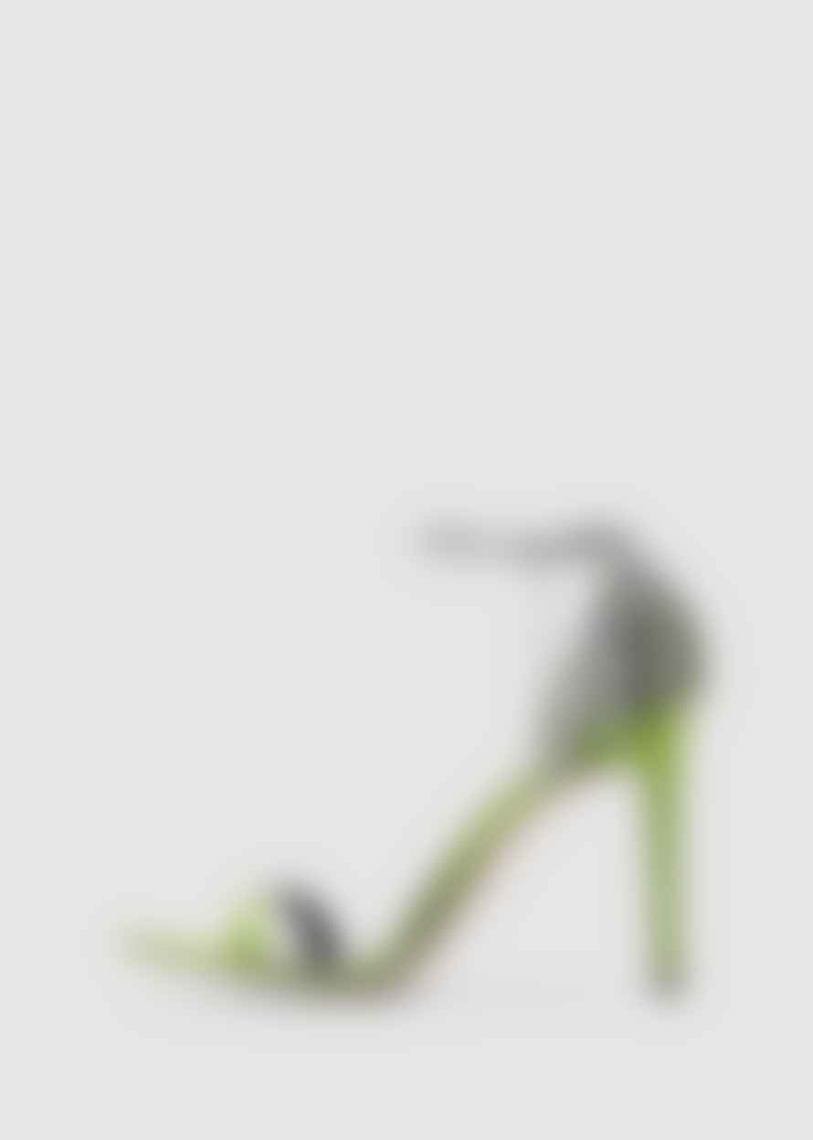 GIUSEPPE ZANOTTI Women's Adele 105 Green Heels