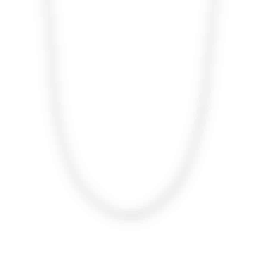 ChloBo Twisted Rope Chain Necklace - Silver