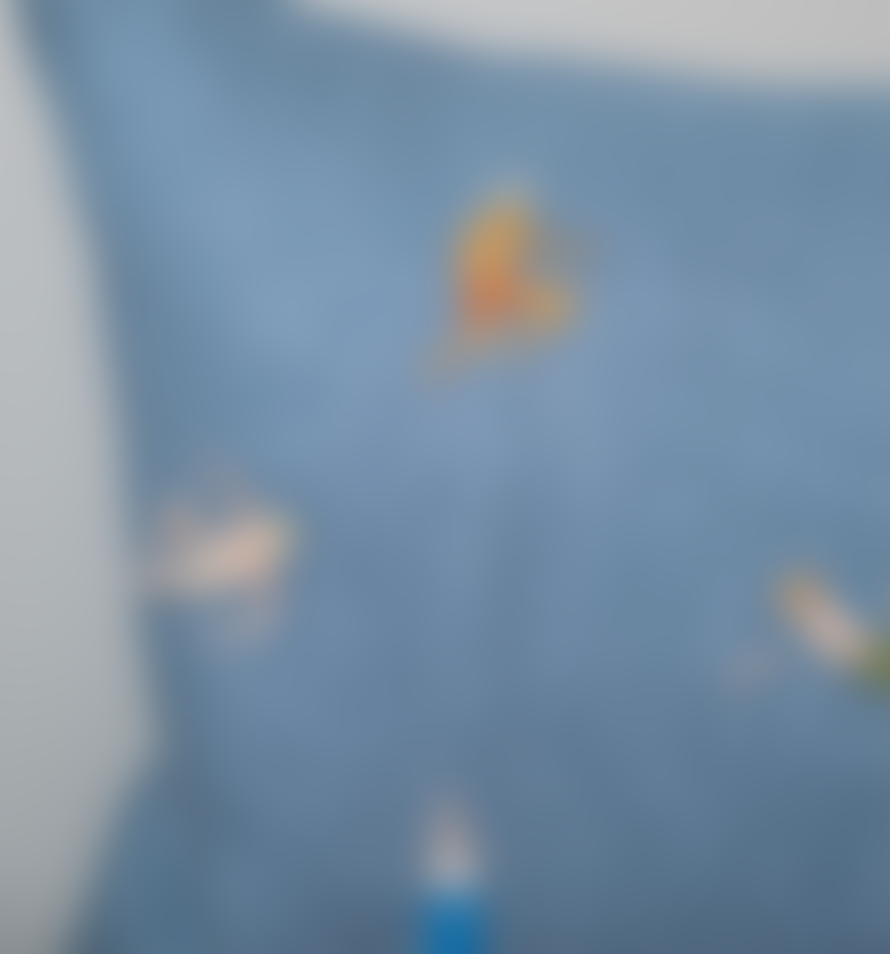 Fine Little Day Embroidered Linen Cushion, Blue Swimmers