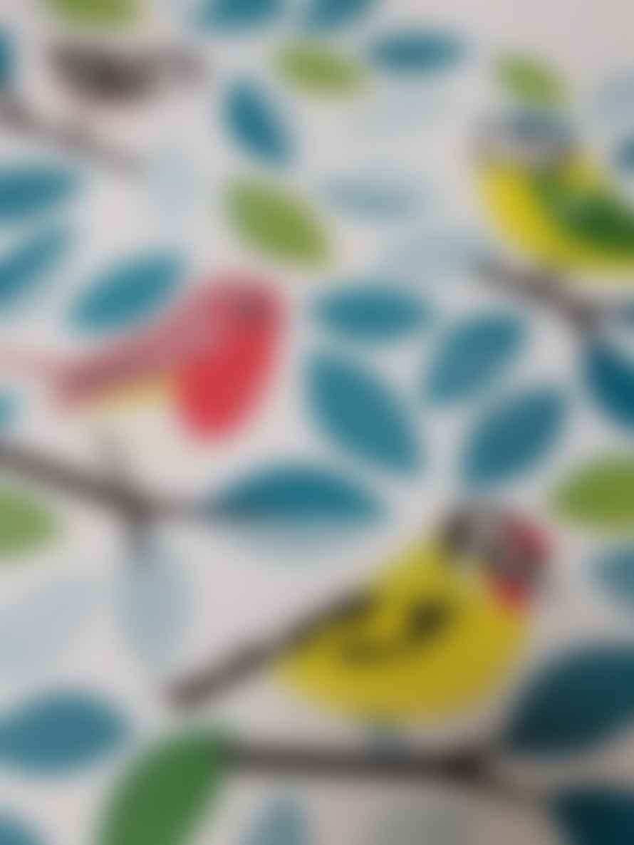 Peski Studio Garden Birds A3 Framed Riso Print