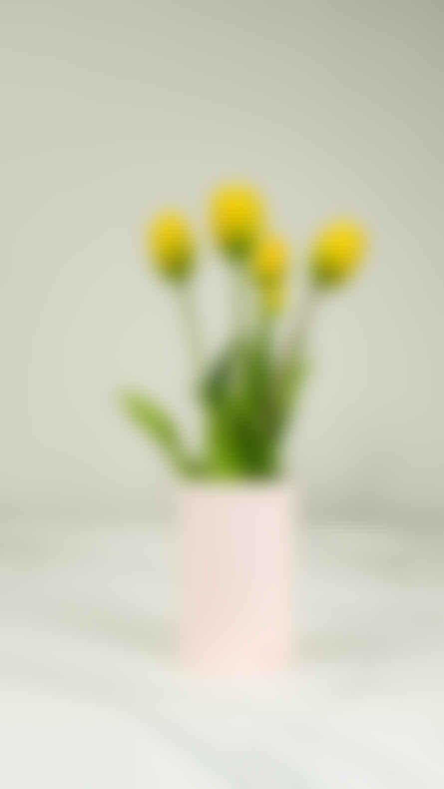 Nodito Tulip Nod-2 Mazzo Di Tulipani Giallo