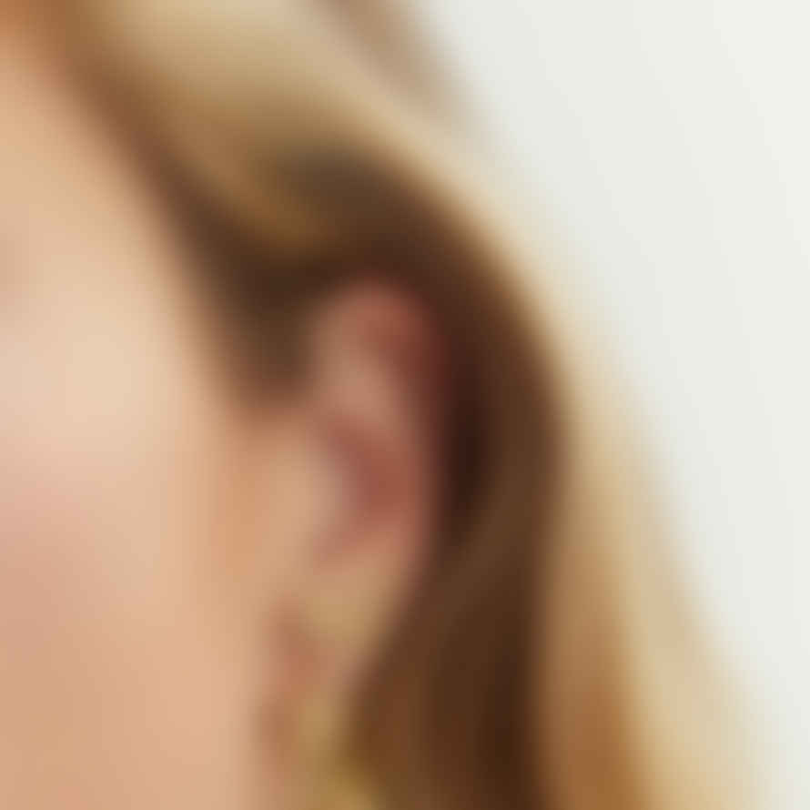 Anna + Nina Gold Single Flourish Stud Earring
