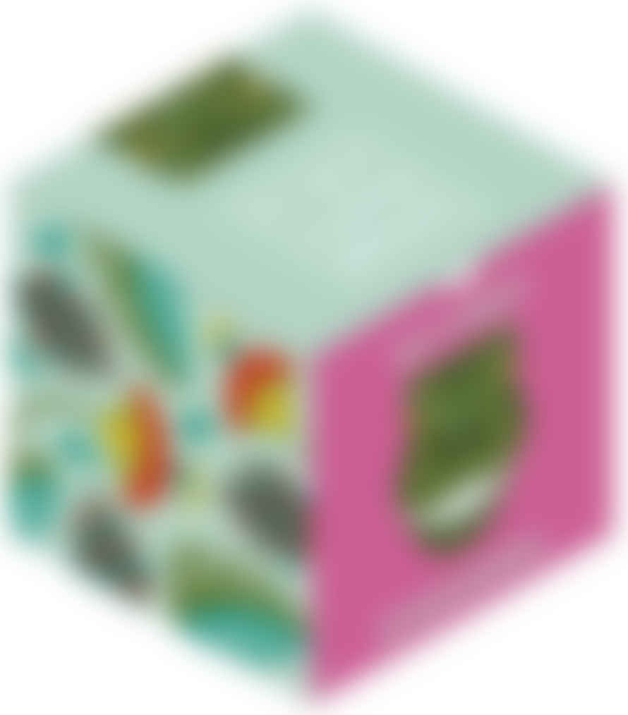 Wee Gallery Tiny Cube Cloth Book - Dinosaur