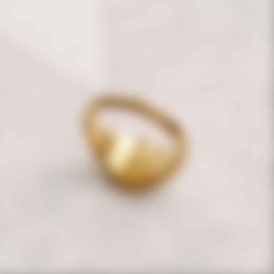 Golden Ivy Daya Stainless Steel Ring Gold