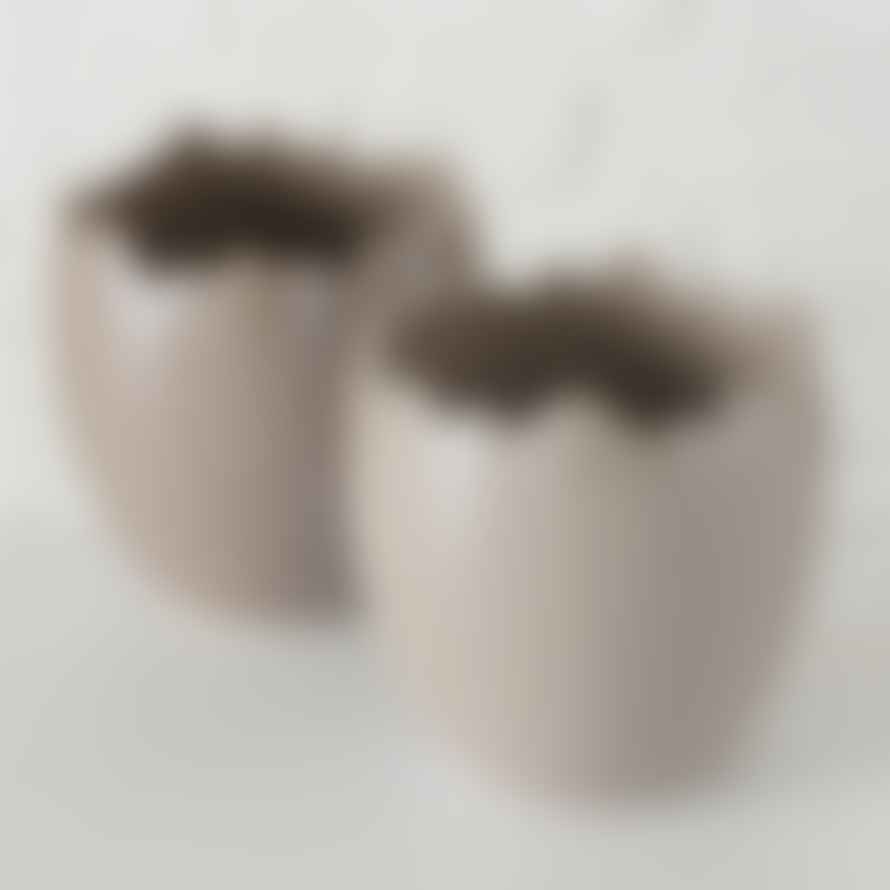 &Quirky Egg Plant Pot : Beige or Taupe