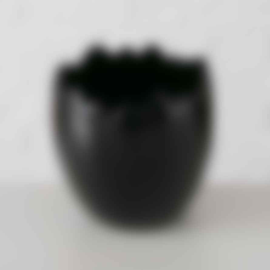 &Quirky Black Egg Plant Pot : Shiny or Mat