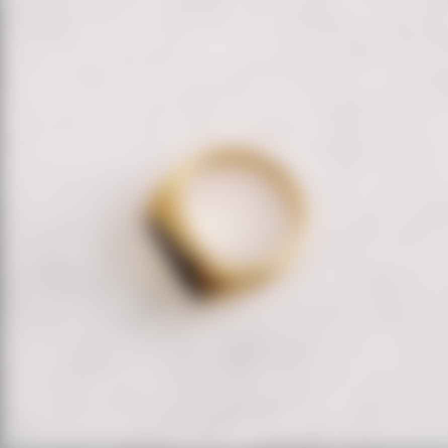 Golden Ivy Evalyn Stainless Steel Ring Gold Black