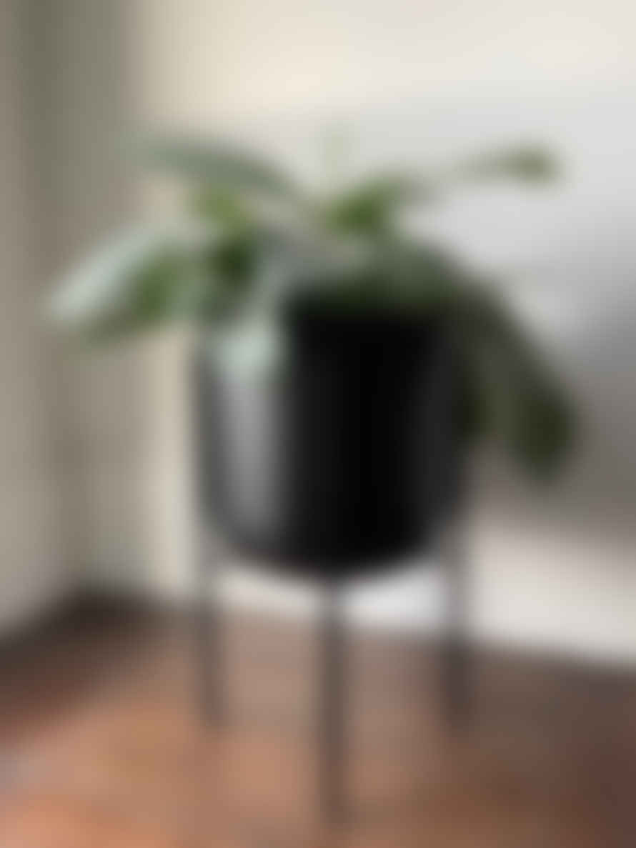Window Dressing the Soul - Home Black Metal Planter with Legs
