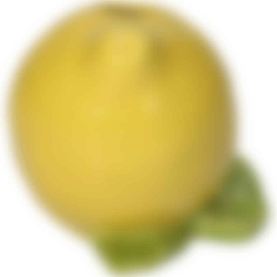 Kersten Yellow Lemon Vase