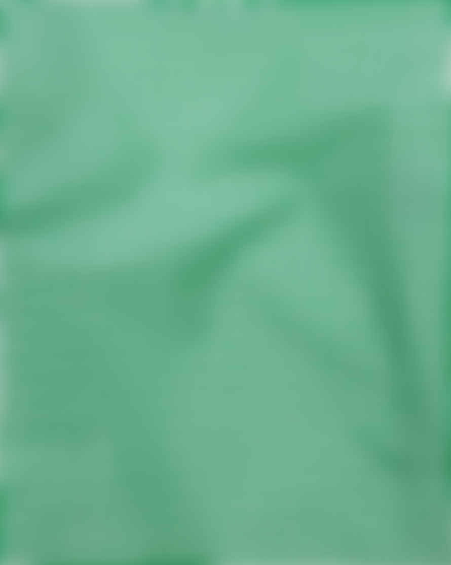 Baggu Standard Reusable Bag - Green Gingham
