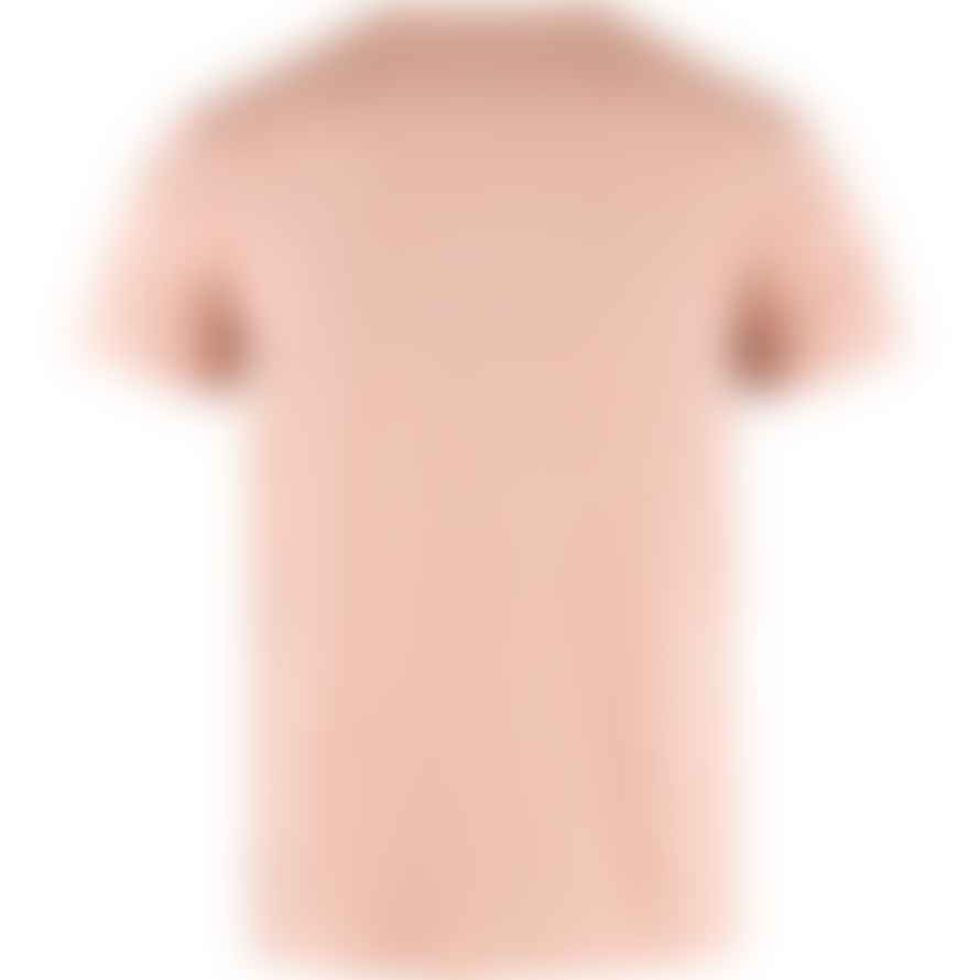 Fjällräven Logo Short-Sleeved T-Shirt (Dusty Rose)