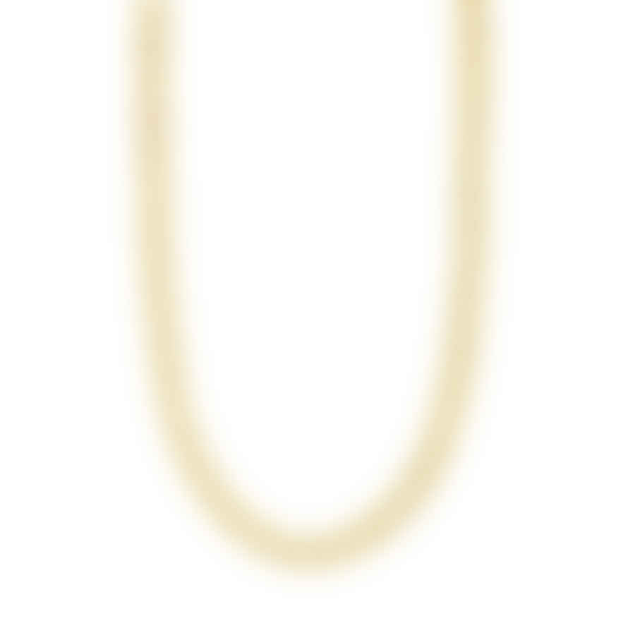 Pilgrim Charm Recycled Curb Necklace Gold-plated