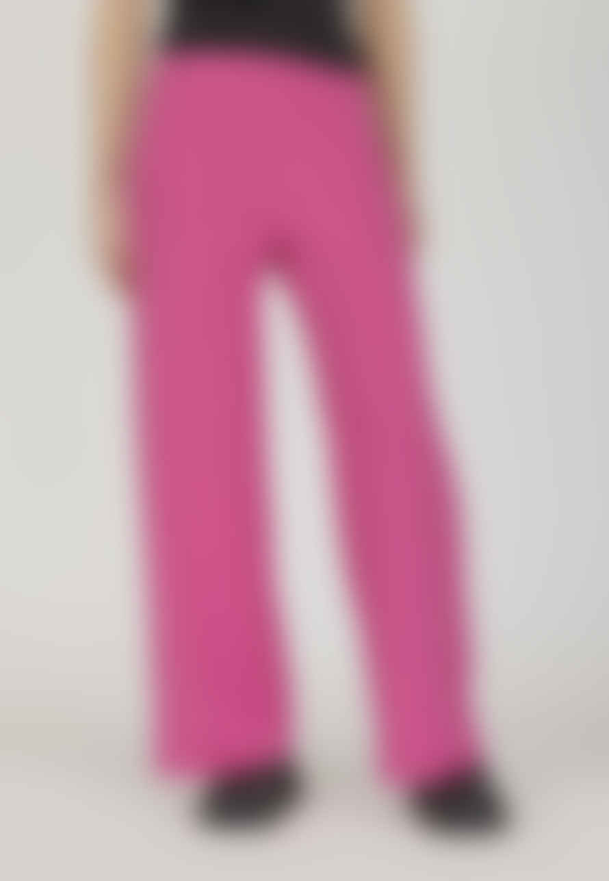 Sisterspoint Neat Pants - Wild Pink