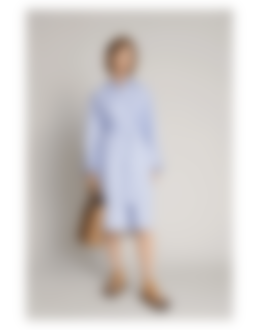 Munthe Munthe Masseila Floral Back Striped Shirt Dress Col: Blue/cream Multi,