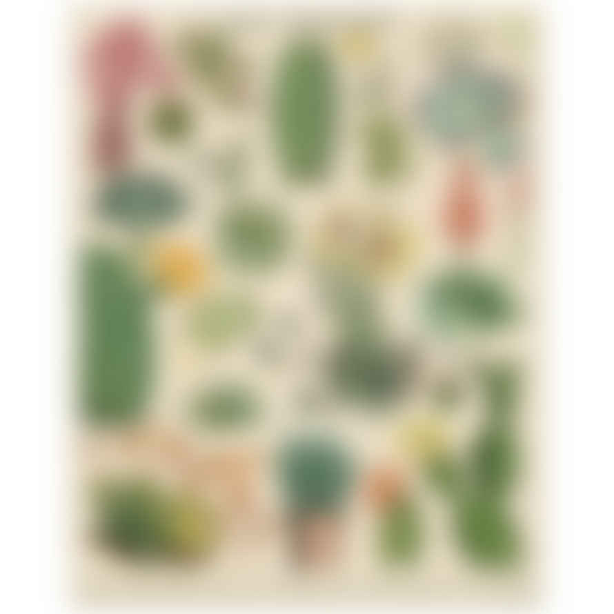 Cavallini & Co Vintage Puzzle 1000 Pz 55x70 Cacti & Succulents Pzl/suc