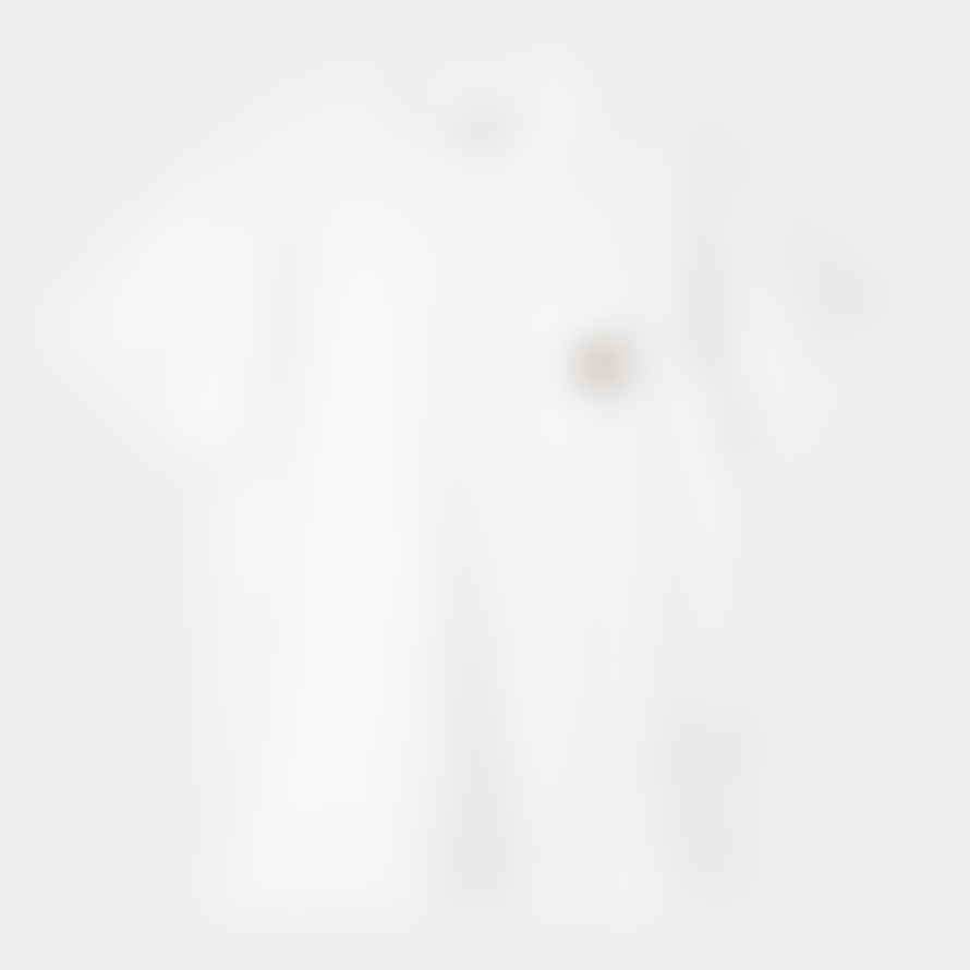 Carhartt T-shirt S/s Pocket White