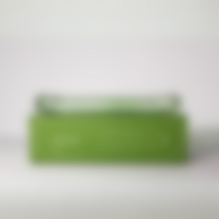 Maegen Lilo Incense Holders | Green