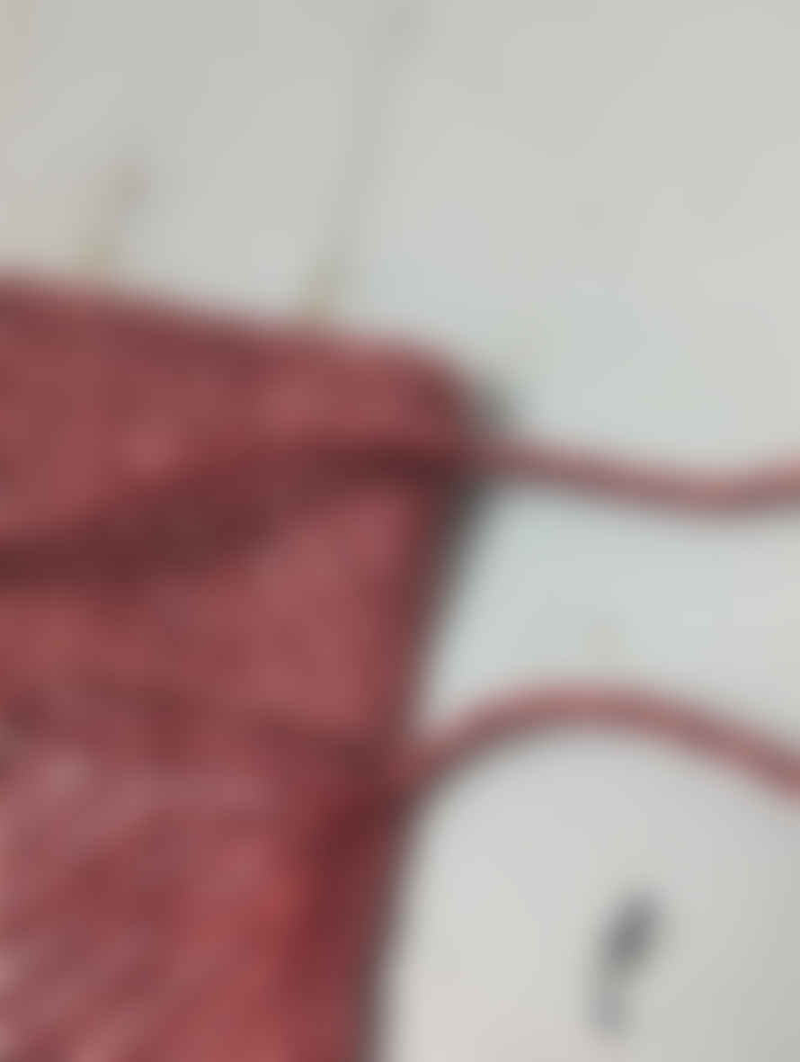Dragon Diffusion Bordeaux Woven Leather Cross-body Phone Bag