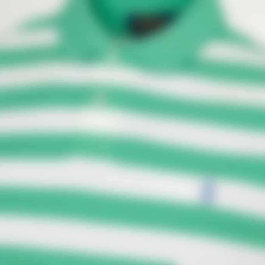Polo Ralph Lauren Stripe Polo Shirt - Green/white