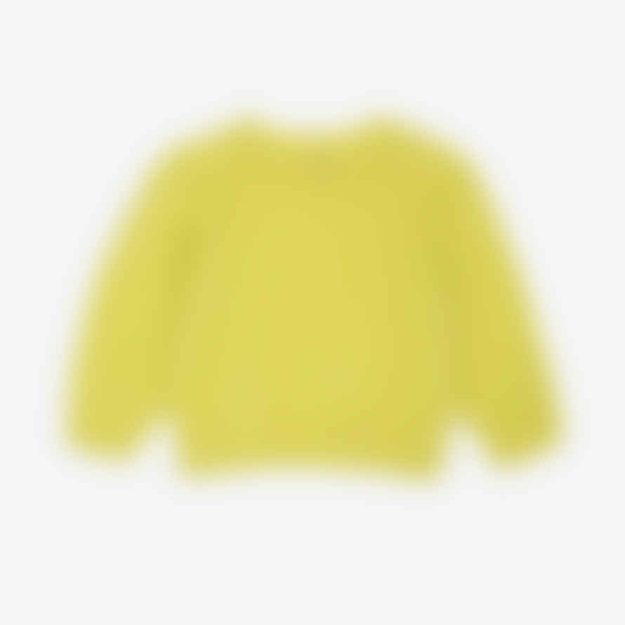 Lowie Lime Mohair Jumper