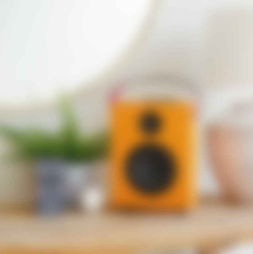 Steepletone Orange Redefy Luxury Portable Bluetooth Speaker