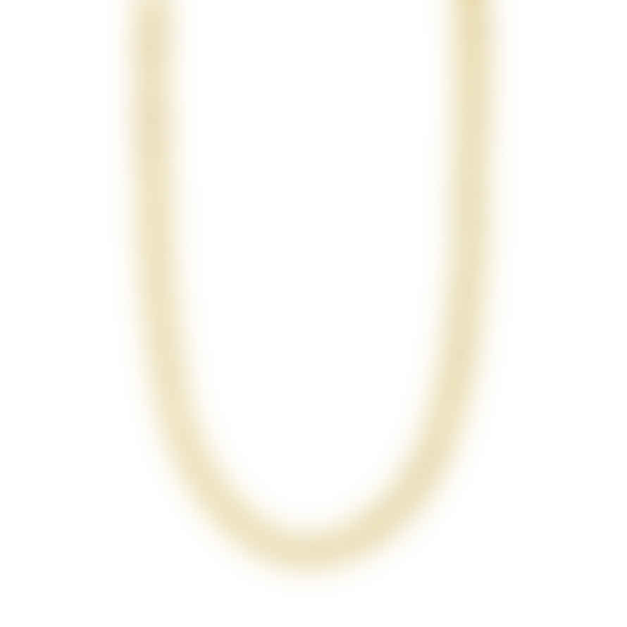 Pilgrim - Charm Gold Plated Recycled Curb Chain Necklace