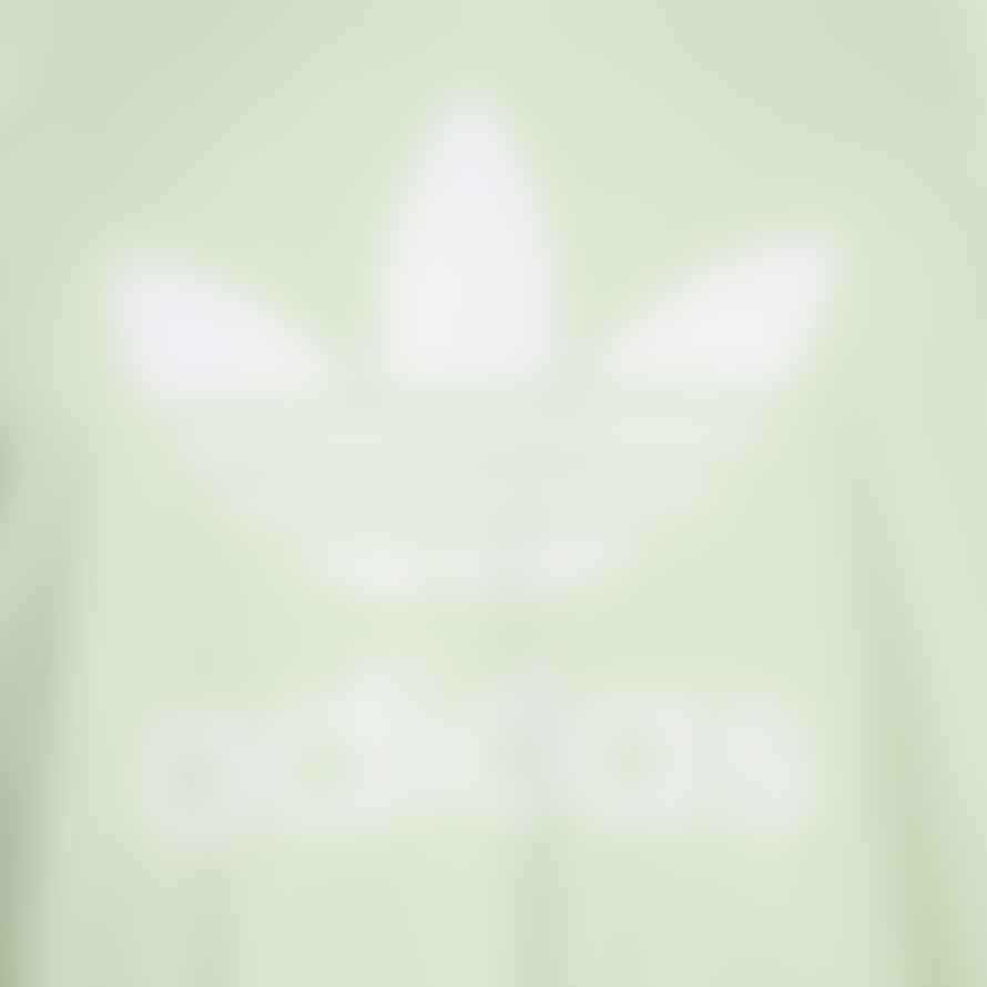 Adidas Trefoil T-shirt - Green