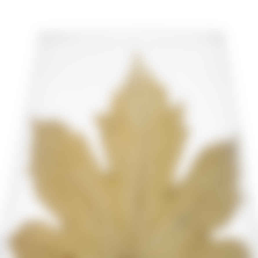 Distinctly Living Maple Vase